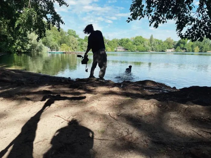 Despite The Scars Behind The Scenes Lake Dog